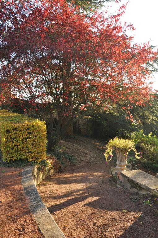 Les Jardins De L'Hacienda Bed & Breakfast Tarare Exterior photo