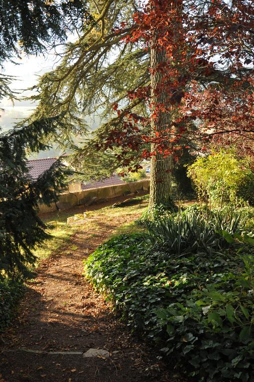 Les Jardins De L'Hacienda Bed & Breakfast Tarare Exterior photo